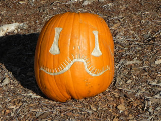 Welcome Smile,10 days later,  Nipomo Pumpkin Patch best carving idea